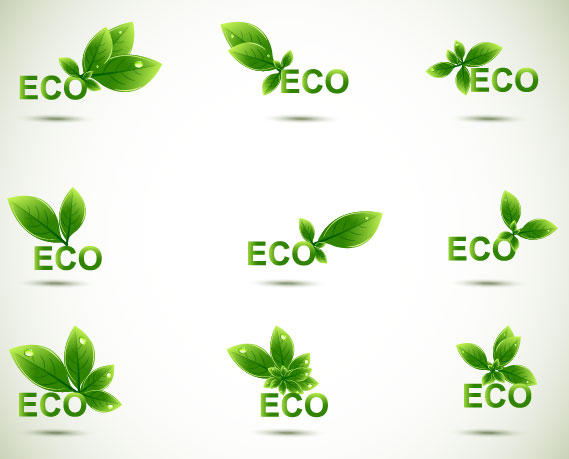 elements element eco 
