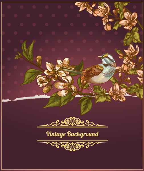 Elegant Vintage background set 23