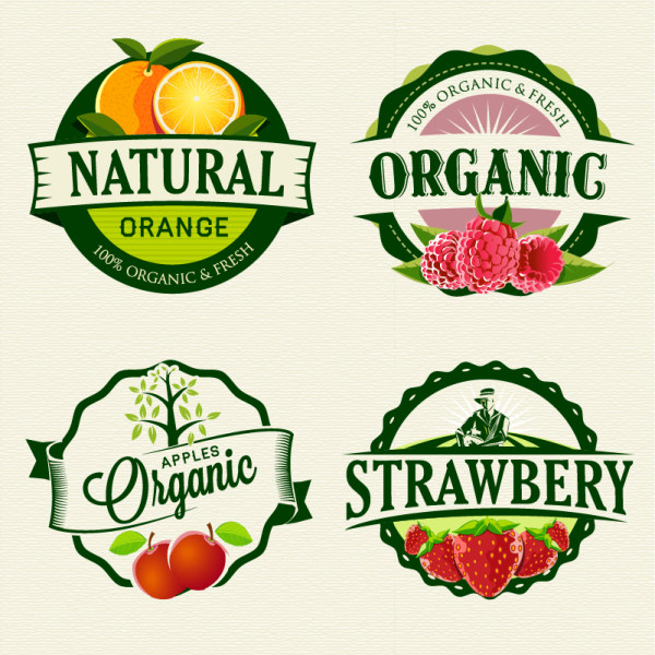 Exquisite fruit labels retro style vector