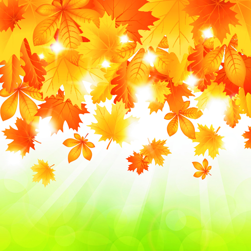 Beautiful autumn Leaves vector 05