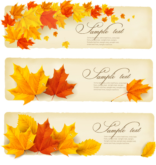 Maple leaves banner autumn vector Maple leaves banner autumn vector