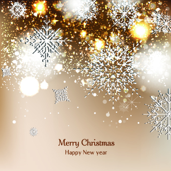 Ornate Christmas Snowflake vector background 01