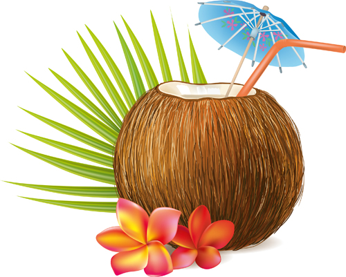 vector material realistic material coconut 