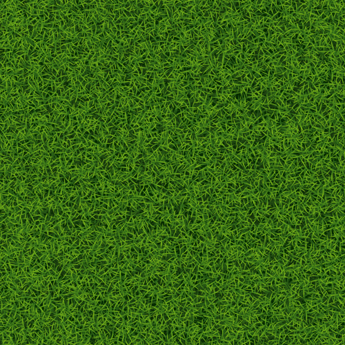 refresh green grass background 