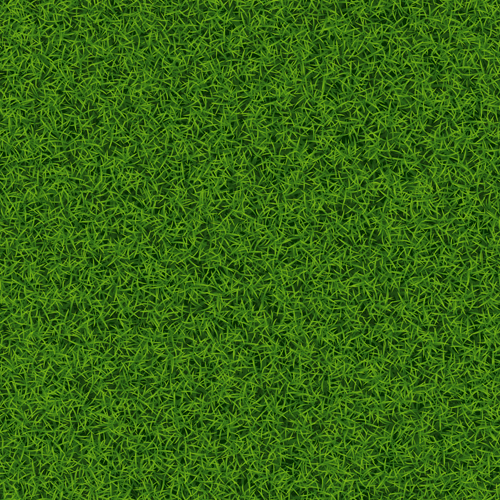 Refreshing green grass background vector 01
