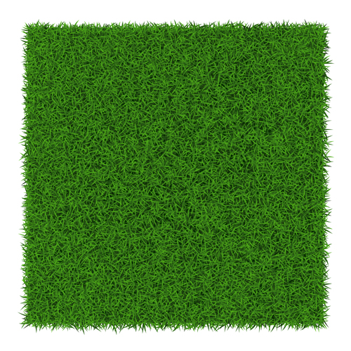 Refreshing green grass background vector 02