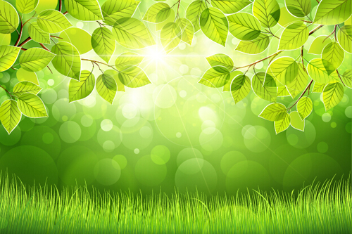 Spring sunlight with green leaves background vector 02