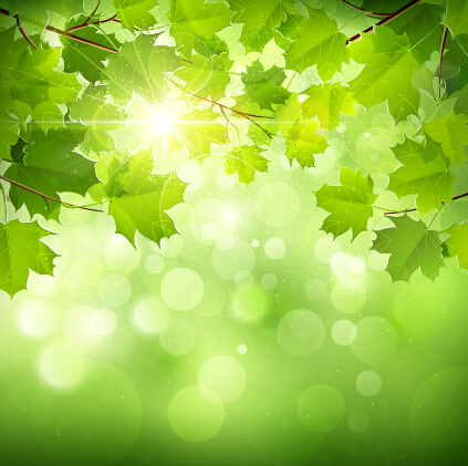 Spring sunlight with green leaves background vector 03