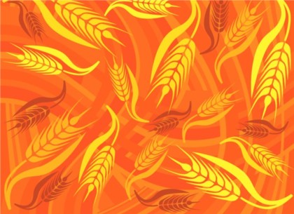 wheat golden bright background 