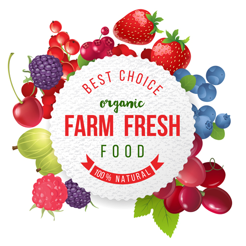 Farm organic fruit background vector 02