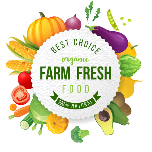 Farm organic fruit background vector 03