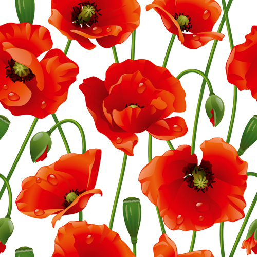 Set of different Flower Pattern elements vector 09