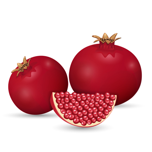 realistic pomegranate 