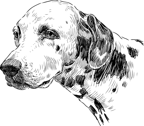 Hand drawn dogs vector set 04