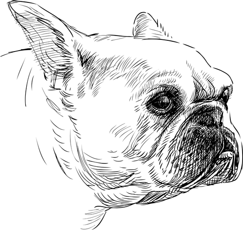 Hand drawn dogs vector set 05