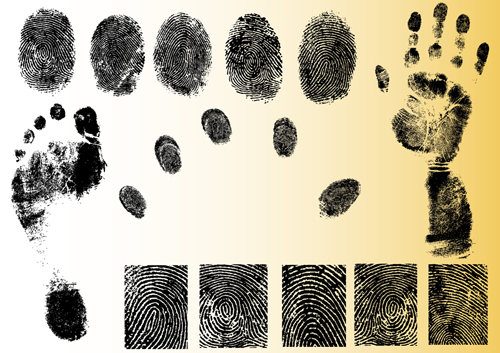 identification fingerprint  