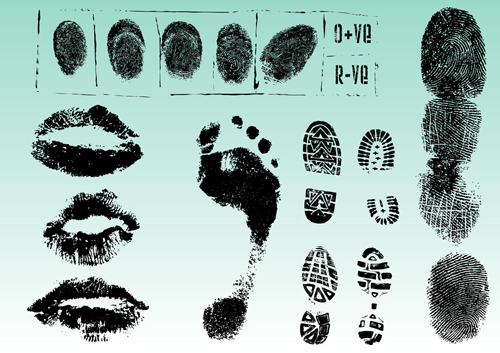 identification fingerprint  