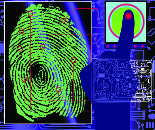 identification fingerprint 