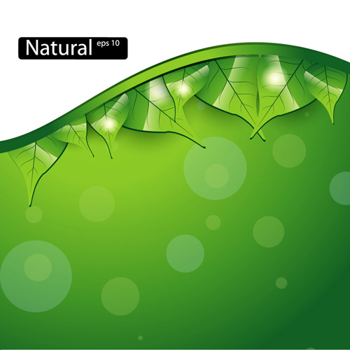 Shiny Green leaves background design vector 03