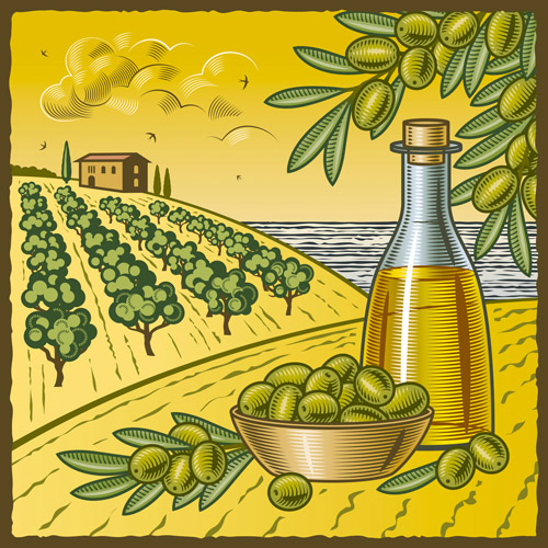 Vintage with retro olives design vector 03