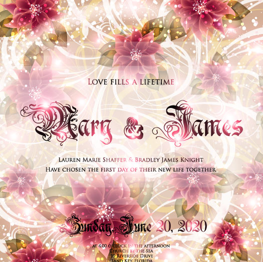 wedding day Invitation cards elements vector 04