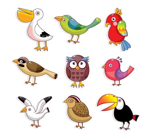 Various cute birds bird 