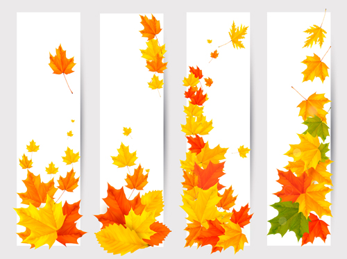 maple leaf maple banners banner 