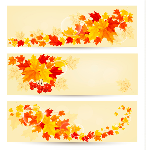 maple leaf map banners banner 