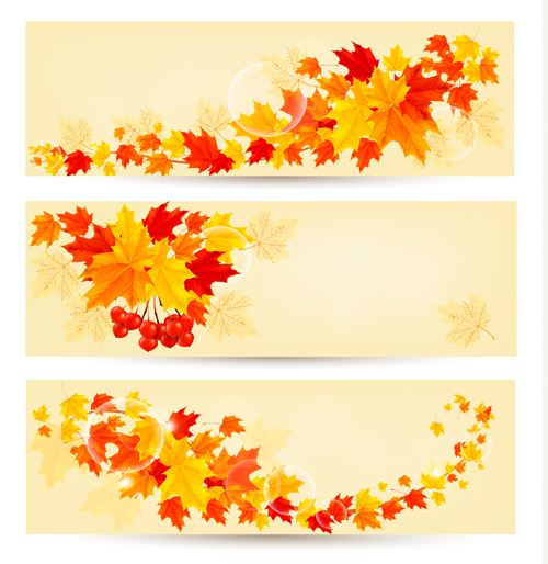 Maple Leaf banners vector set 02