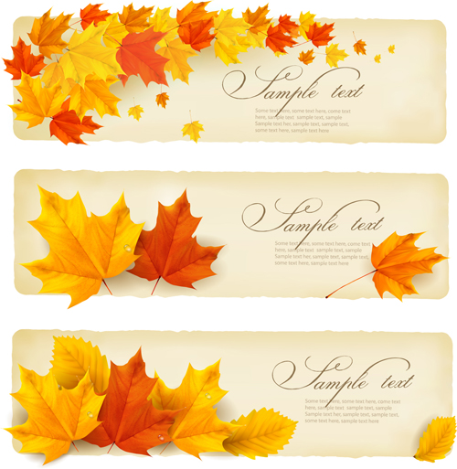 maple leaf maple banners banner 