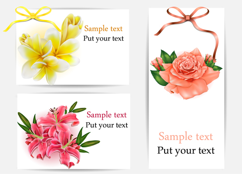 Beautiful flower with ribbon cards vector graphic 05
