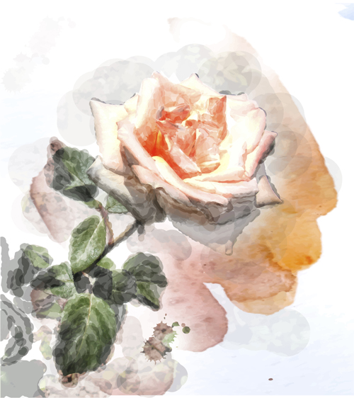watercolor flower drawn background vector background 