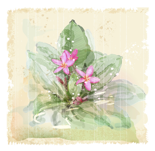 flower art background vector set 05 Drawn watercolor flower art background vector set 05