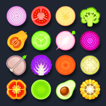 Vivid food icon design vector 02