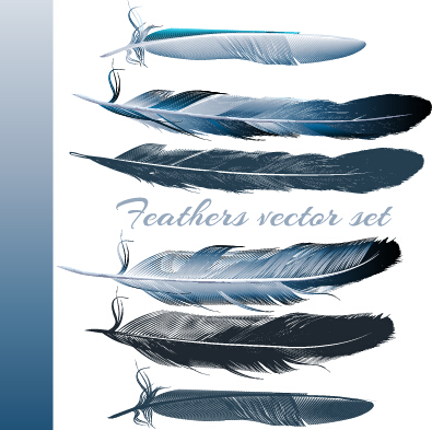 realistic feathers 