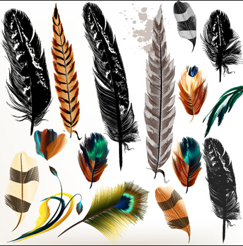 realistic feathers 