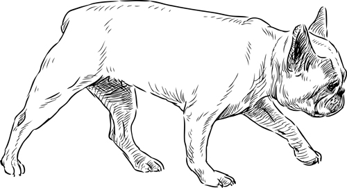 Hand drawn dogs vector set 01
