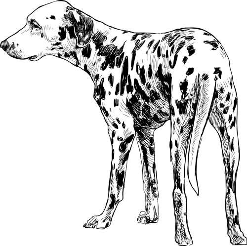 Hand drawn dogs vector set 02