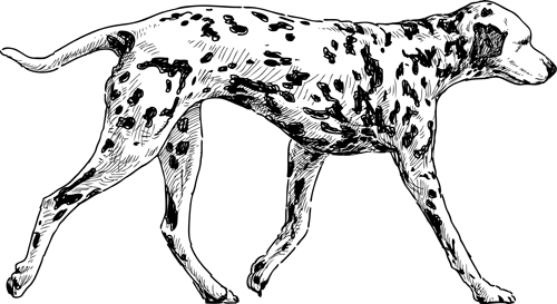 Hand drawn dogs vector set 03