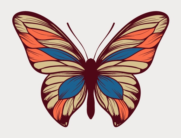 original butterfly 