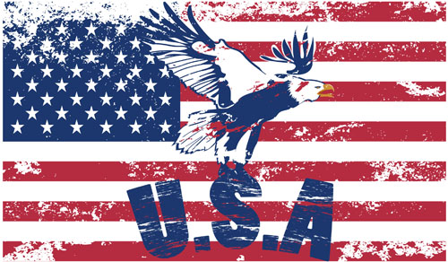 Set of America flag vector 05