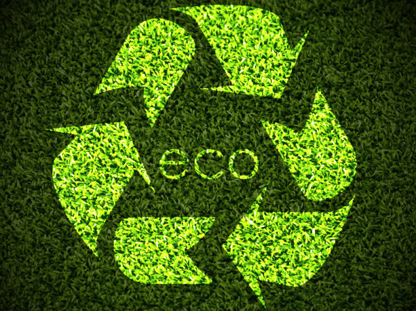 Elements of ecology green template vector set 03