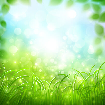 Grass sunshine blurred background vector