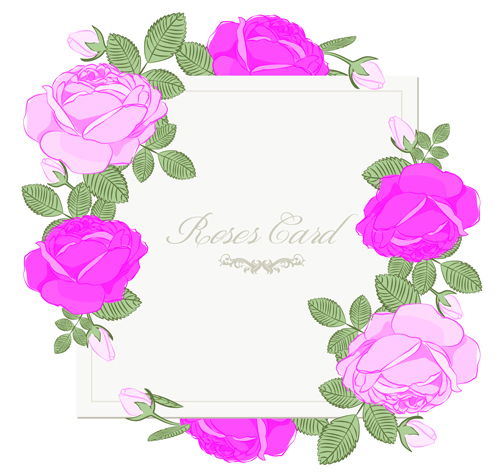 rose pink card vector card 