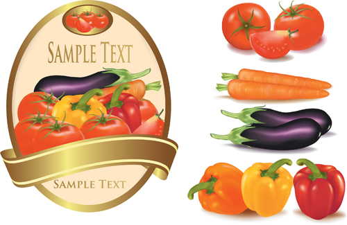 Elements of Salad mix vector graphic 01