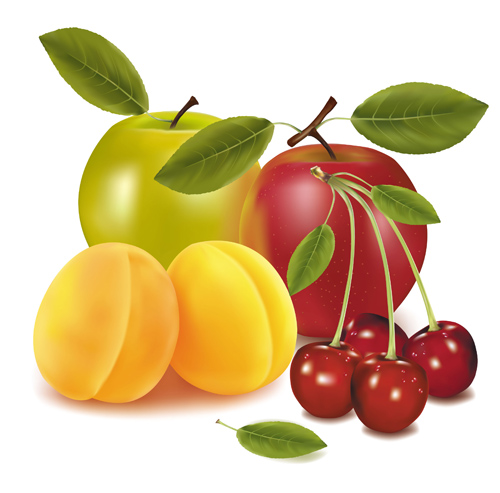 vector graphic shiny fruits fruit creative 