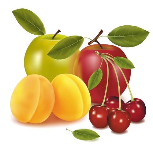 y fruits creative vector graphics 01 Shiny fruits creative vector graphics 01
