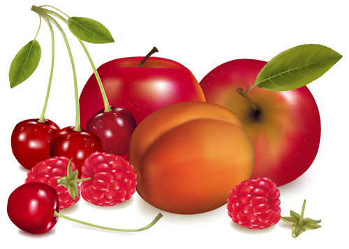 y fruits creative vector graphics 02 Shiny fruits creative vector graphics 02