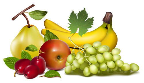 y fruits creative vector graphics 03 Shiny fruits creative vector graphics 03