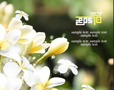 White flowers with blurred background vector
